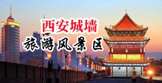 虎小鹤掰逼中国陕西-西安城墙旅游风景区